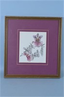 Framed Purple Iris Colored Lithograph