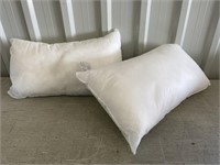 2 Pillow Forms 12"x20"