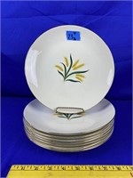 8pc Royal Harvest dinner plates