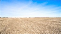 146.3 Acres in Osceola County, Iowa