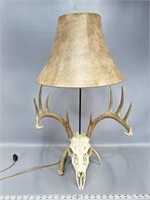 28” table lamp 5x6 Whitetail buck European mount