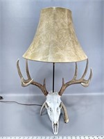 28” table lamp 5x5 Whitetail buck European mount