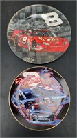 Dale Jr plate lot