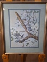 Basil Ede, White Breasted Nuthatches Framed Print