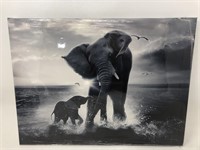 New Elephant print on canvas 12”x16”