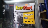 NEW Everstart Battery ES20LBS