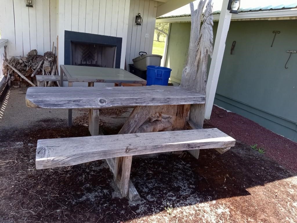 Chainsaw Carved Picnic Table