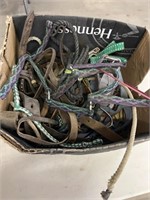 Selection of Halters, Rope, Reins, Spurs & More