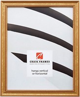 Craig Frames 314GD 18 by 24-Inch Picture Frame