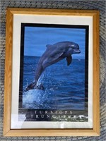 Framed & Matted Dolphin Art