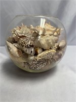 ALL THE SEA TRASURES! HUGE 9x9" BOWL OF