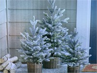 3 Piece Flocked Trees W/ LED Lights - Christmas