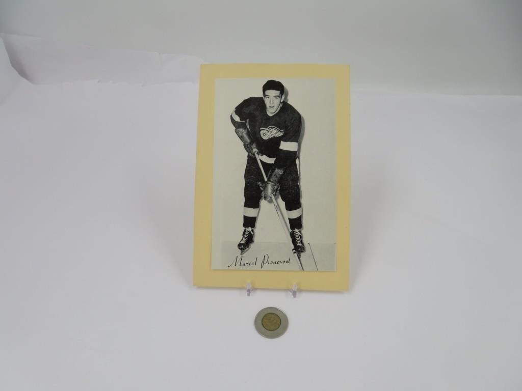 Marcel Pronovost , 1944/64 BEEHIVE Photo Hockey