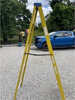 8 ft folding ladder