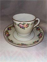 Vintage TK THUN bohemian tea cup/saucer