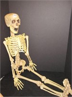Scary Skeleton