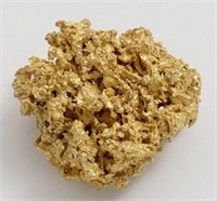Alaskan gold sponge nugget