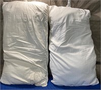 Used Queen-Size Pillows