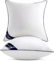 Siluvia 24x24 Pillow Inserts (2 Pieces)