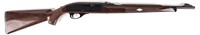 Gun Remington Nylon 66 Semi Auto Rifle in .22LR
