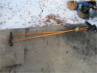 Ski poles