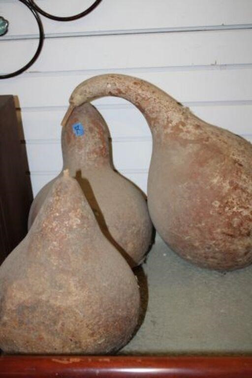 SELECTION OF LARGE GOURDS