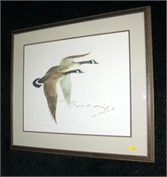 Canada Goose print by Charles E. Murphy