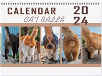 Cat Balls Calendar 2024 x3