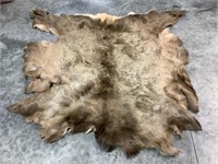 Tanned Hair on Hide Elk Hide, 5 x 5 ft