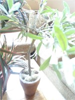 Artificial Small Plant In Ceramic Pot