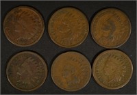INDIAN HEAD CENT LOT: