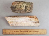 Petrified Wood