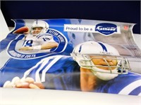 Large NFL Sports Poster