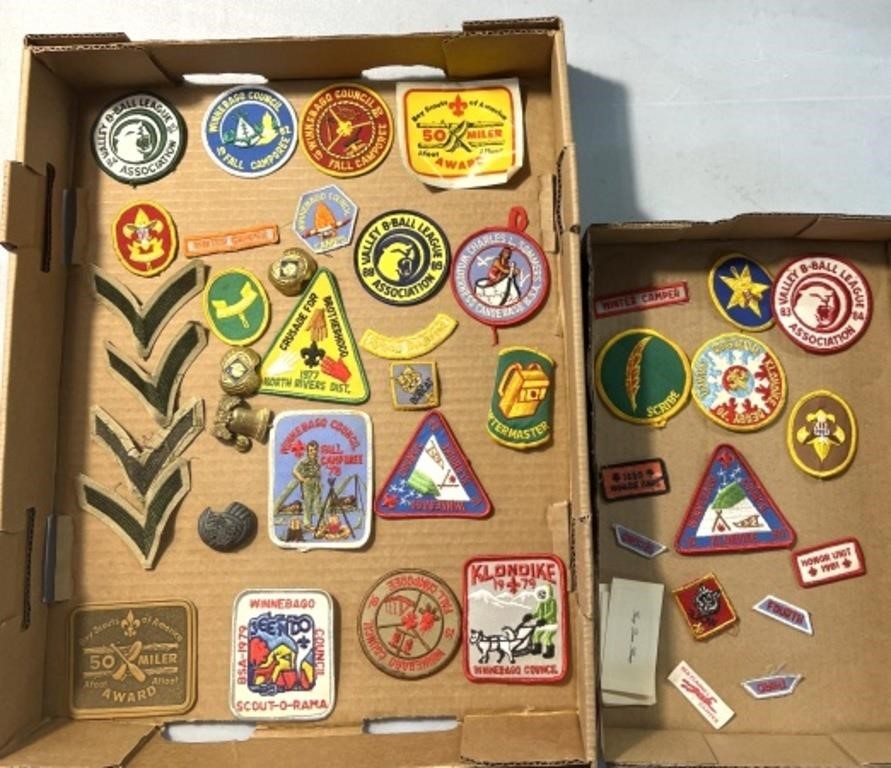 Boy Scout/Cub Scout badges
