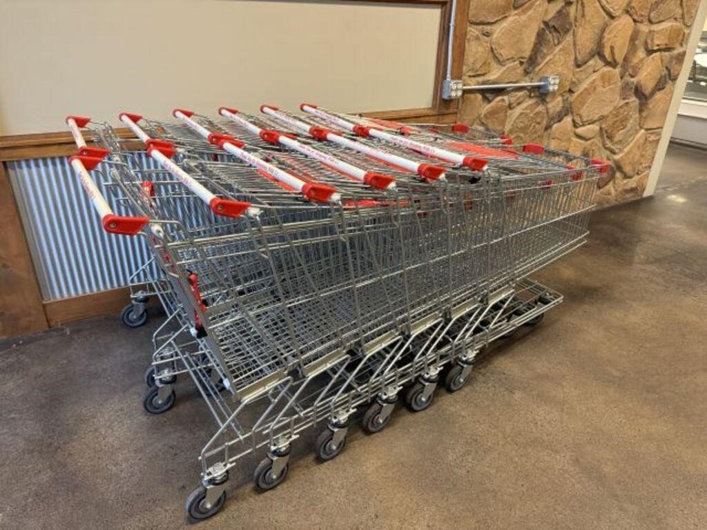 12 Shopping Carts