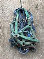 10 Used Horse Halter - assorted colors