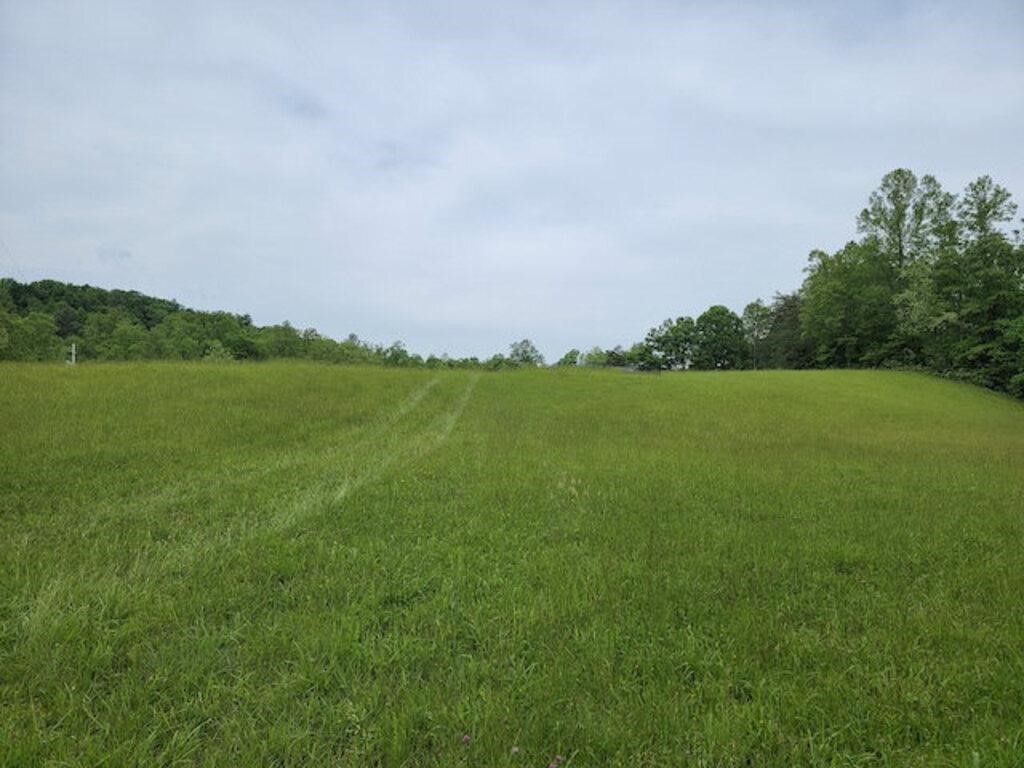 Country Home & Recreational Land for Sale in Patrick County