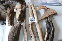 Collection of Driftwood