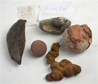 FOSSIL LOT 6 PIECES INC EGGS