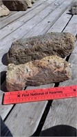 2 Garden Worm Rocks / Fossilized Rocks