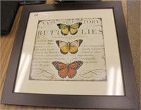 Framed butterfly print
