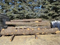Assorted Saw Logs