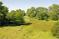 160+/- Acres of Excellent Hunting in Pawnee Co. Ks