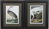Set of 2 Hooping Crane by John Audubon