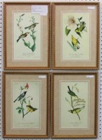 Set of 4 Antique Birds by John Audubon