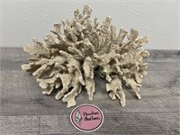 Coral (some parts broken)