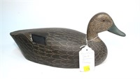 Charles Buchanon black duck