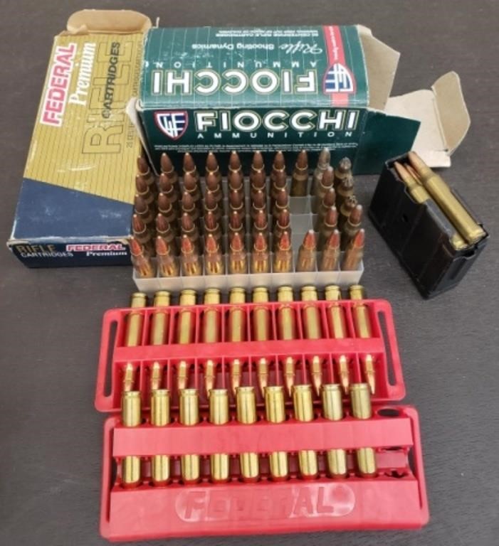 66 Rounds Assorted 223 Bullets Plus Ruger Mini 14