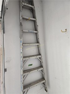 Werner Aluminum 8-ft Step Ladder