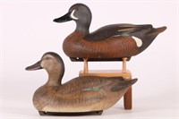 Pair of Hen and Drake Blue-Winged Teal Duck
